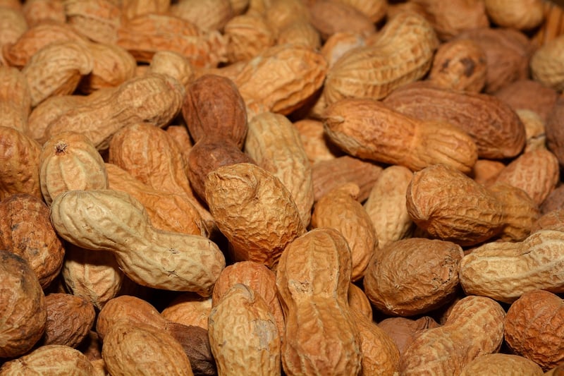 Nutrient-Packed Snacks